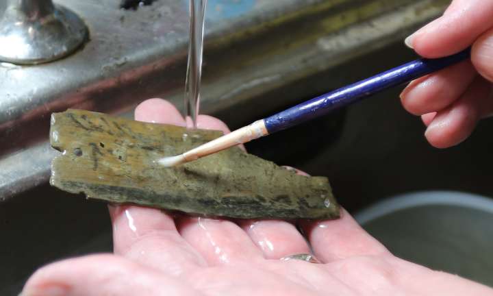 vindolanda tavoletta masclus