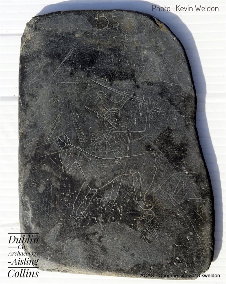 ACAS vichinghi dublino