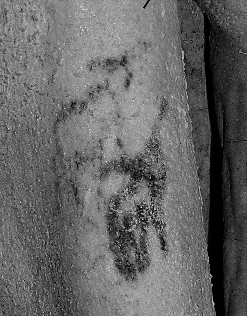 I più antichi tatuaggi figurativi sulle mummie di Gebelein – Il Fatto ...